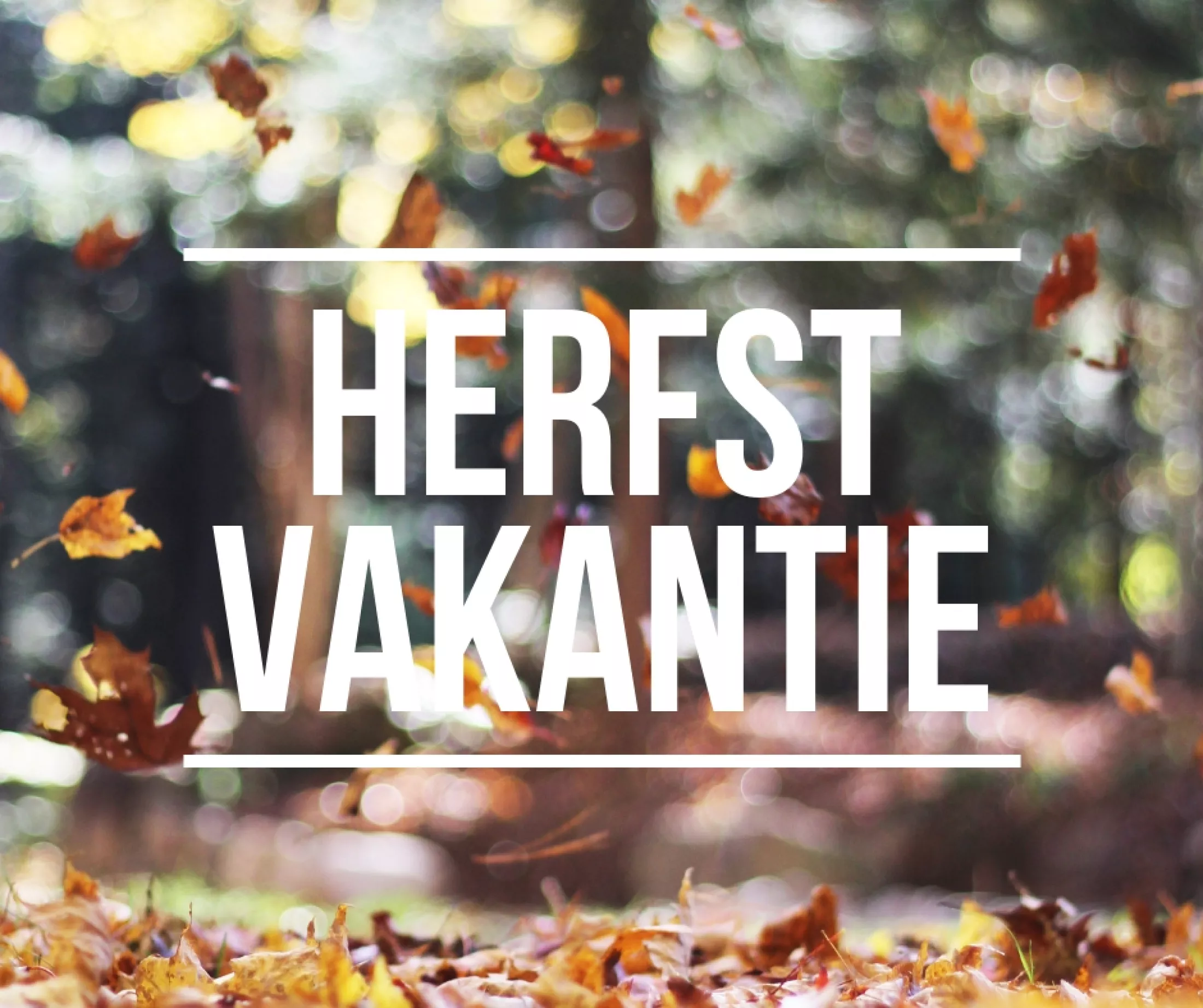 Herfstverlof van 22/10 tem 02/11